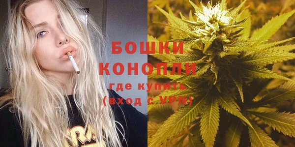 МДПВ Мегион