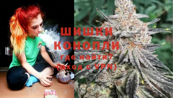 молекула духа Магас