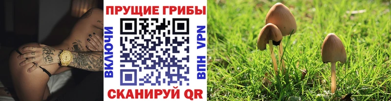купить наркотики цена  Нижние Серги  Галлюциногенные грибы MAGIC MUSHROOMS 